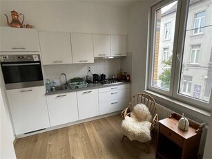 Recent gerenoveerde studio met open keuken, slaaphoek en apa