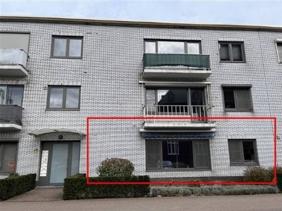 Gezellig appartement in hartje Hamont