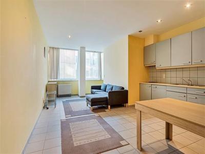 Studio (49m²) met mogelijks P centrum Antwerpen