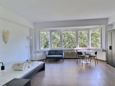 Ixelles - Louise: Gemeubileerde studio