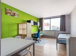 Gemeubileerde studio (24 m²) gelegen in centrum Leuven te ko