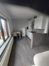 Gerenoveerde, gemeubelde studio 40m² met dakterras 26m²